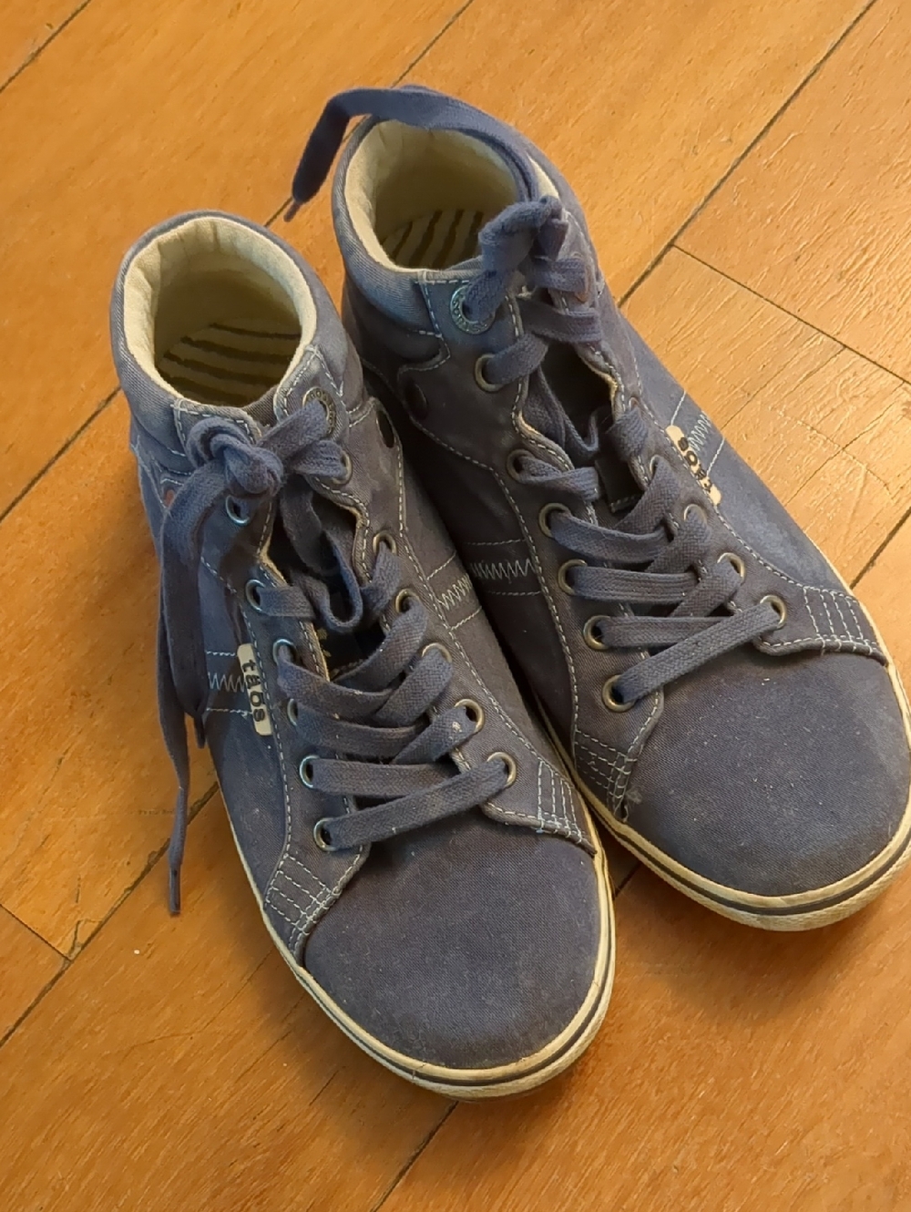 Taos Plim Sole Blue Mid-Top Canvas Sneakers
